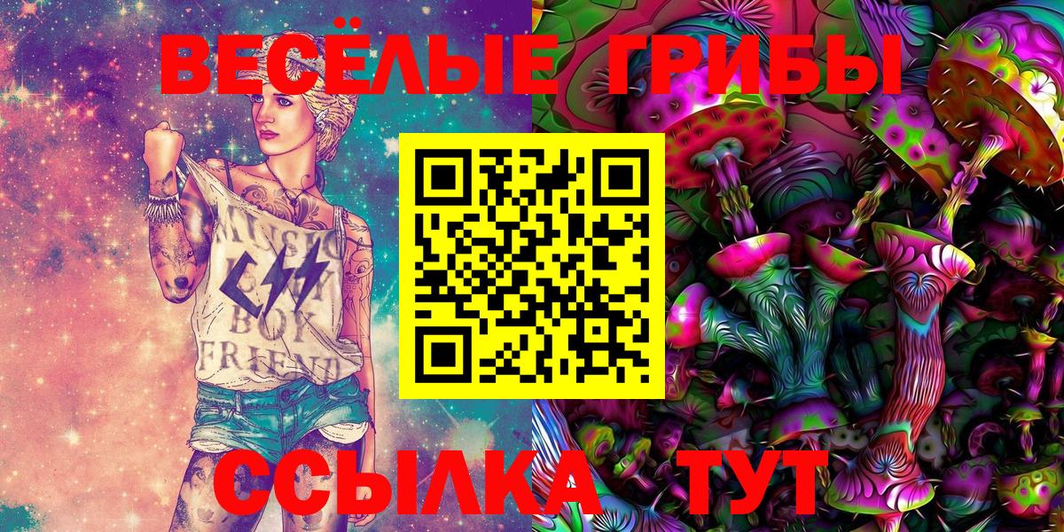 сколько стоит  Вход с VPN  Сальск  Галлюциногенные грибы ЛСД 